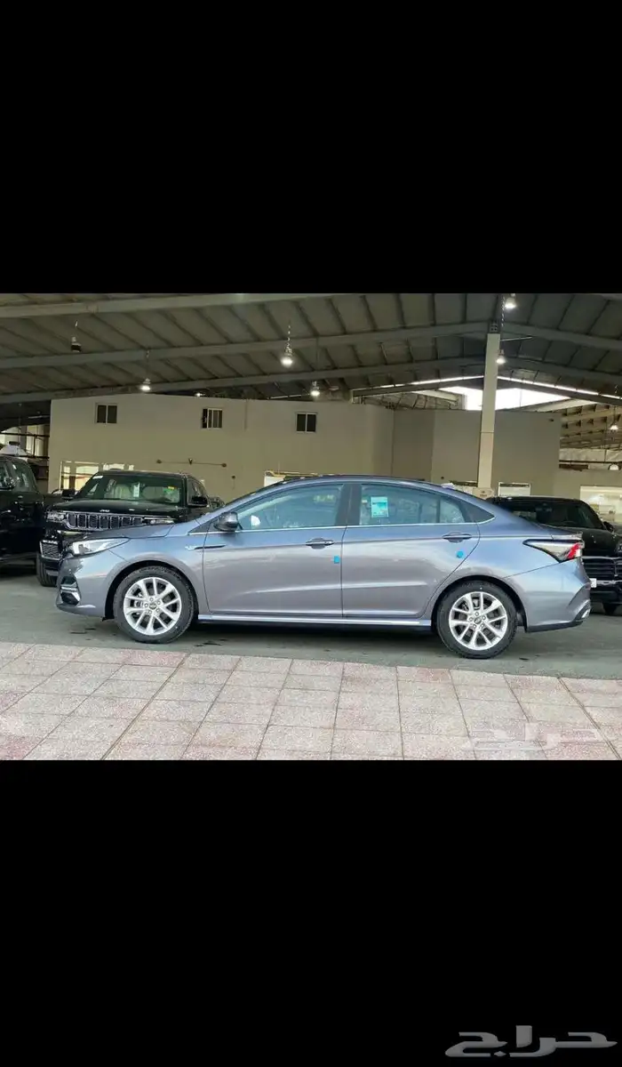 شيري اريزو6 2