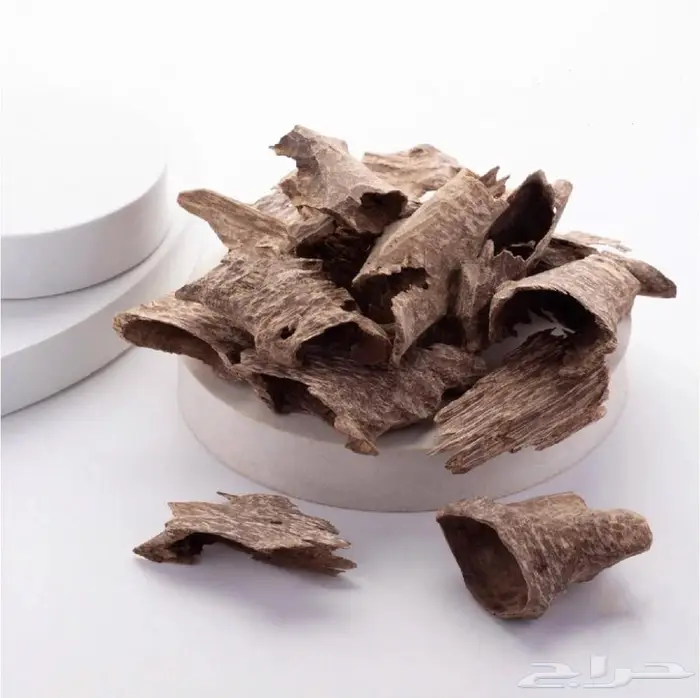 عود طبيعي عود محسن 3