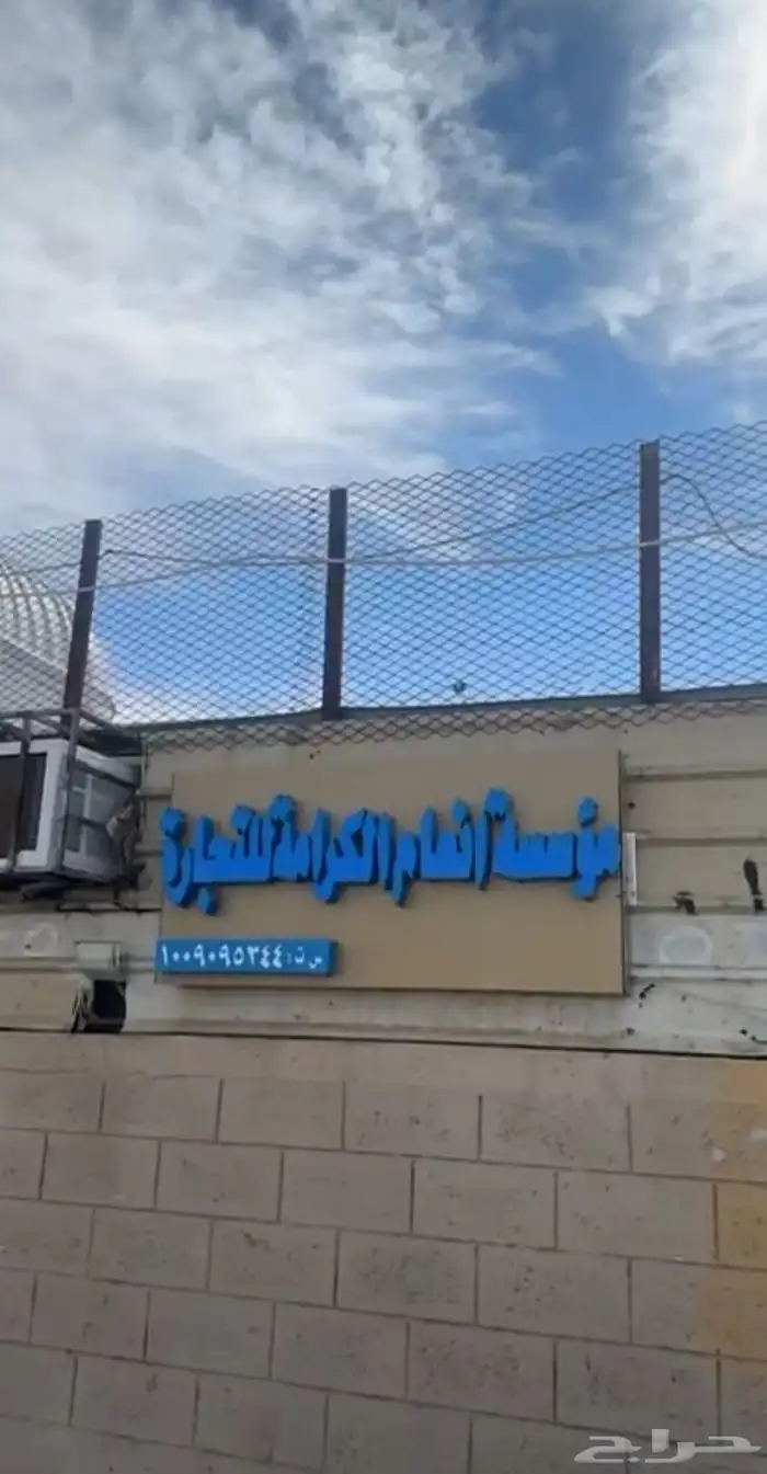 بيع اغنام متوفر تقسيط تابي او تمارا 2