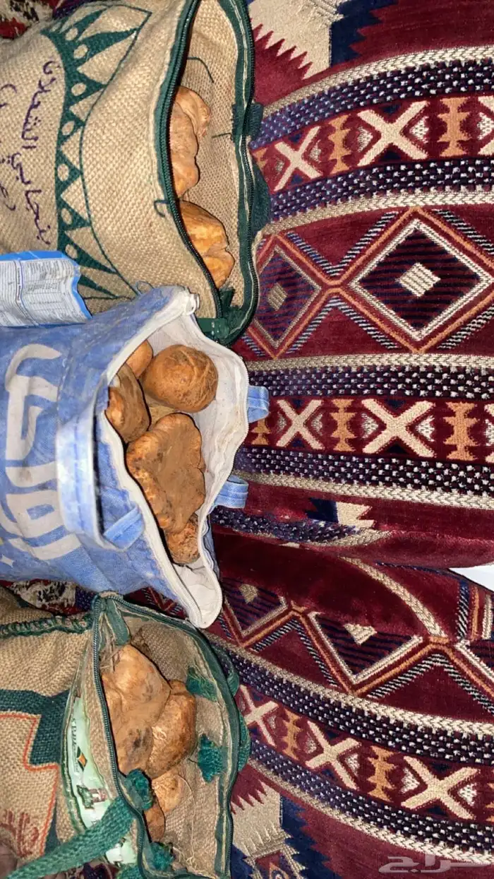 فقع طيب لقط اليوم جديد 15 كيلو 3 خياش على 450 ريال الخيشه 0