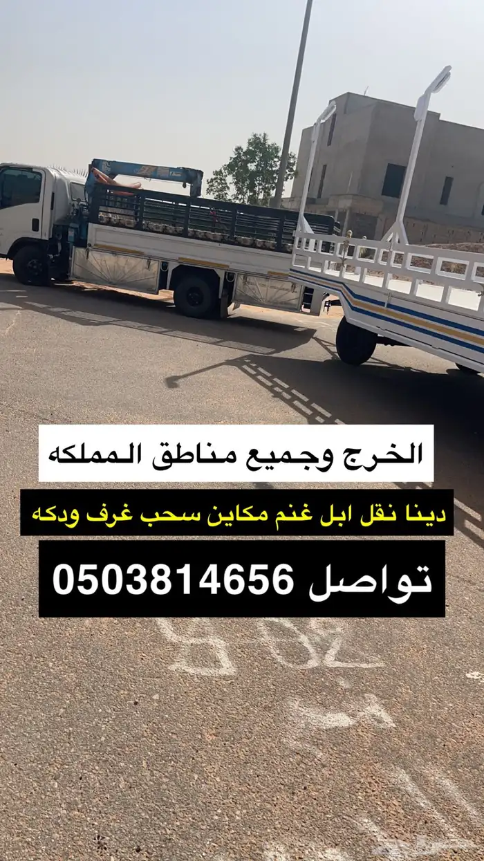 دينه نقل الابل 0