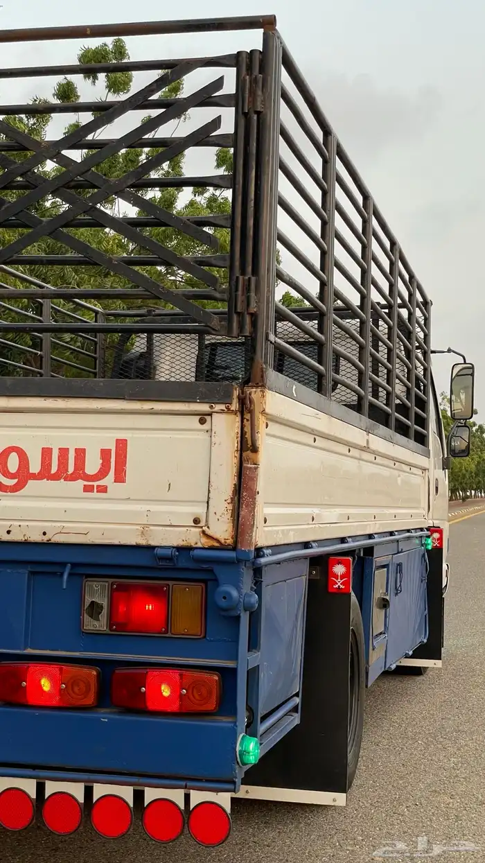دينه ايسوزو 2008 24