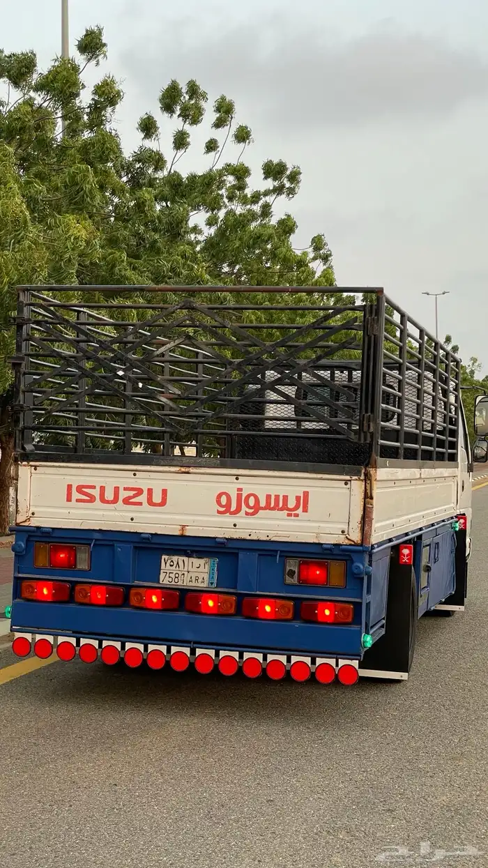 دينه ايسوزو 2008 23
