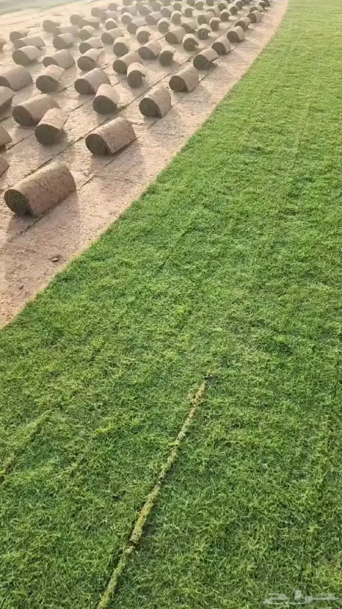 ثيل الخرج درجة 1 9