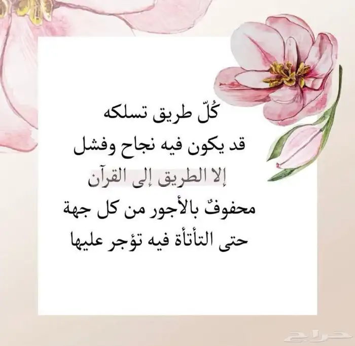 معلمة قران عن بعد 0