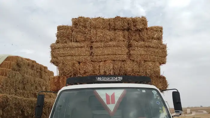 تبن بر صافي 0