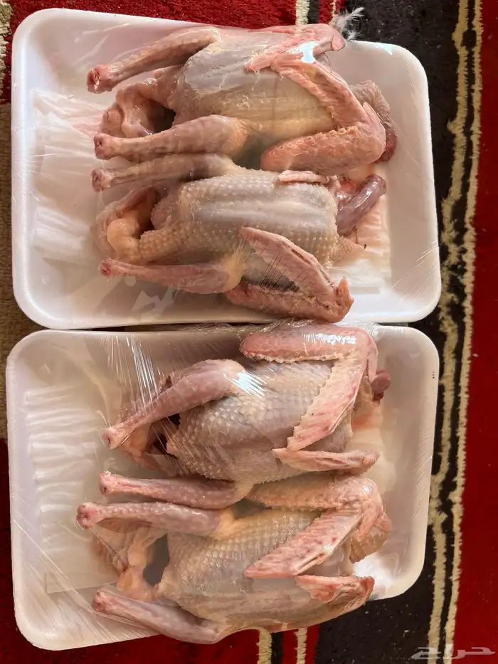 حمام فرنسي سوبر جامبو 2