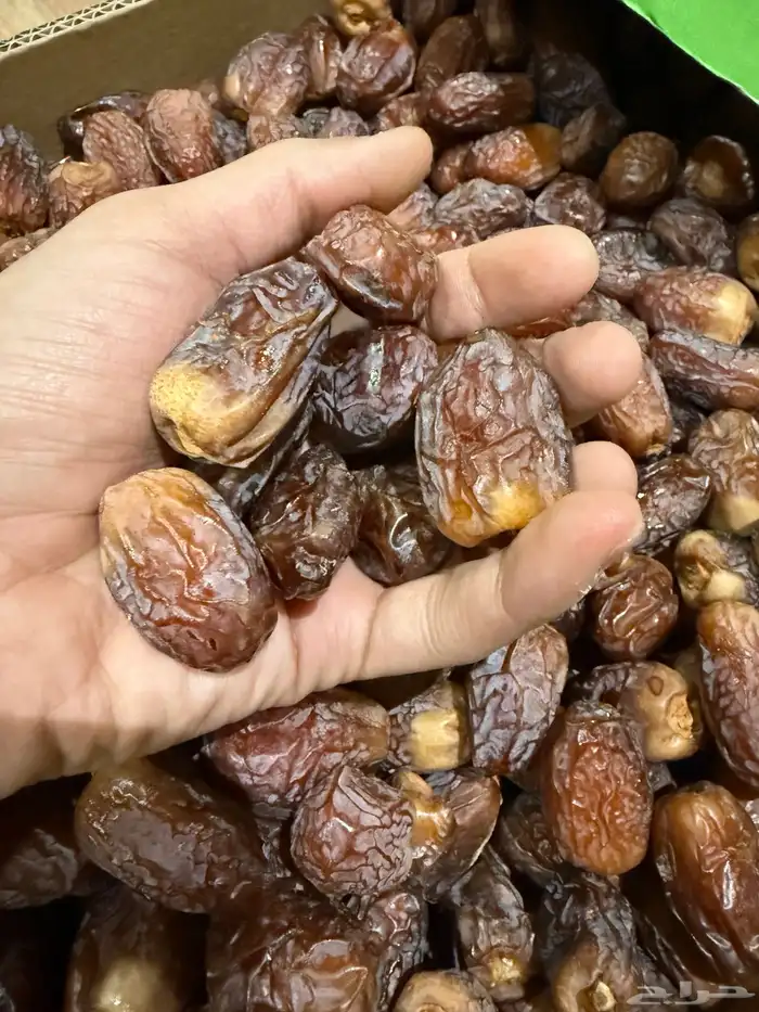 تمور فاخرة عالية المدينة ( عجوه - مجدول - صفاوي - صقعي) 0