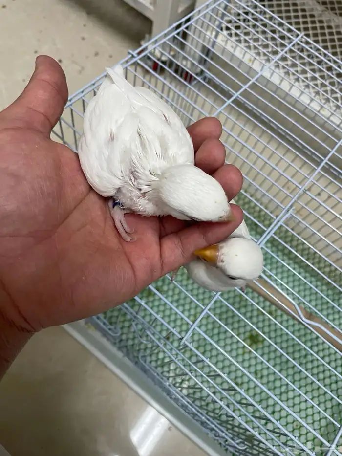 تم البيع خارج الموقع 0