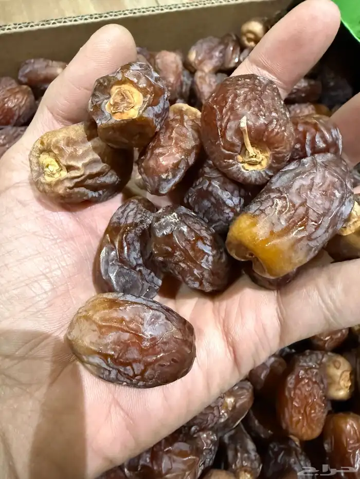 تمور فاخرة عالية المدينة ( عجوه - مجدول - صفاوي - صقعي) 1