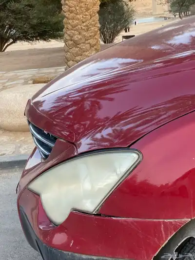 جيب سانق يونق اكتين ( دبل ) 11