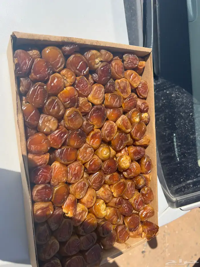 للبيع رطب ملكي فاخر جمله ونبتت علي ورشوديه للبيع كميات علا 2