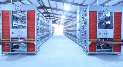 إلى مزارع البياض او الاحم 3