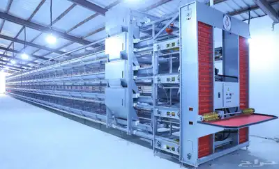 إلى مزارع البياض او الاحم 1