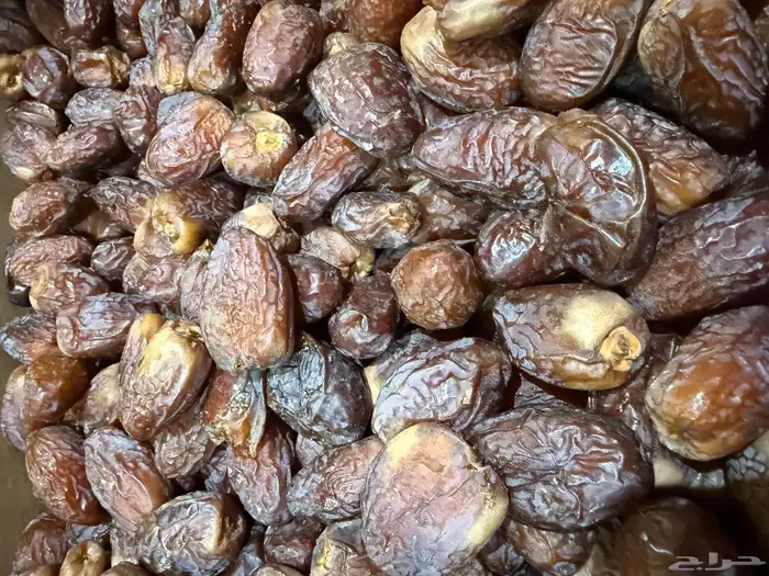 تمور فاخرة عالية المدينة ( عجوه - مجدول - صفاوي - صقعي) 2