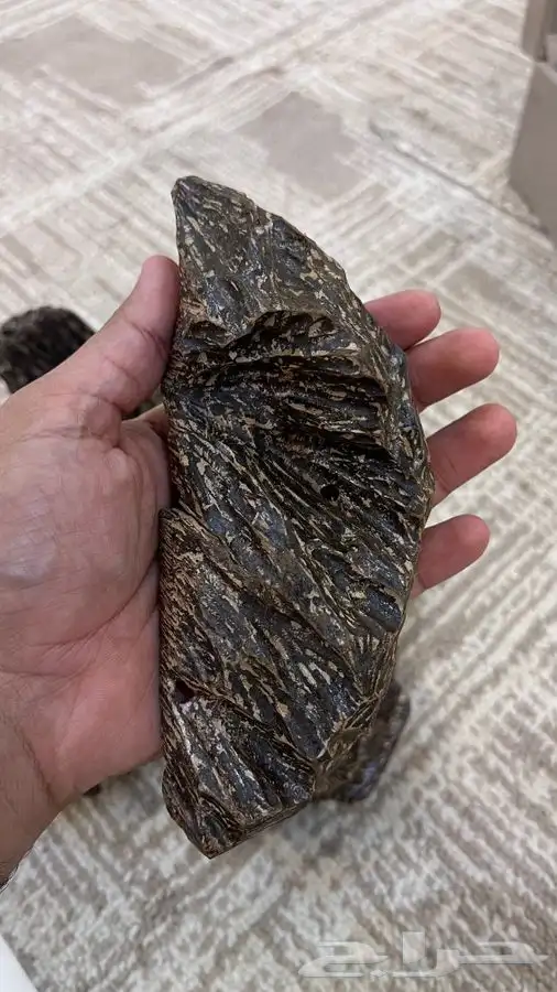 العود الازرق بسعر المصدر سعر الكيلو 950 ريال فقط 4