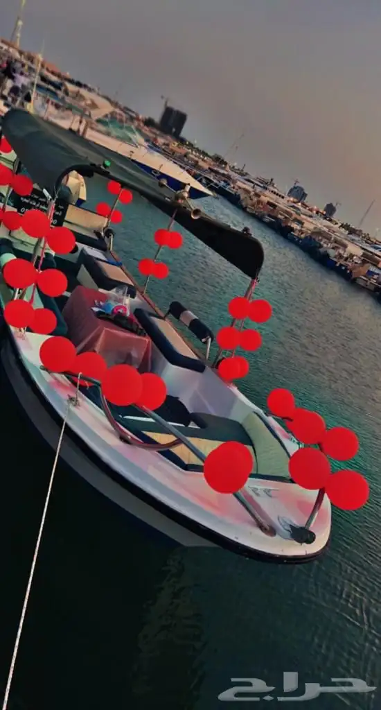 تأجير يخوت وقوارب بحريه ( نزهة - بياضة - صيد ) 1