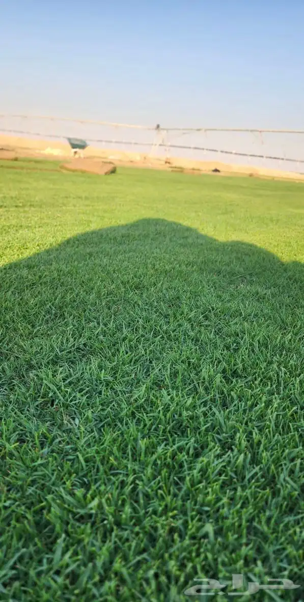 ثيل الخرج درجة 1 8