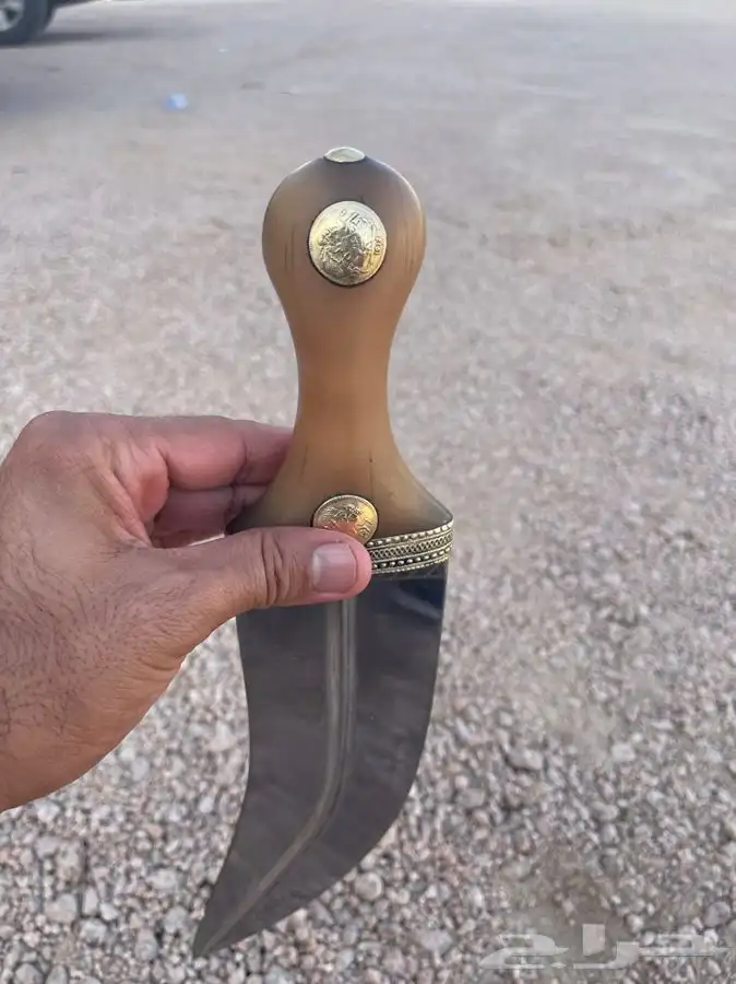 جنبيه 3
