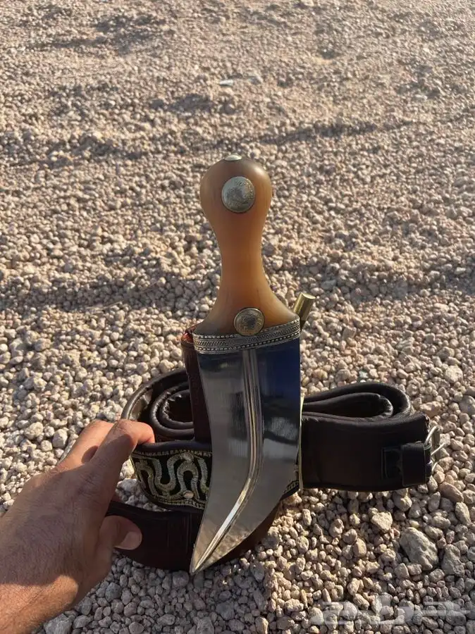 جنبيه 1
