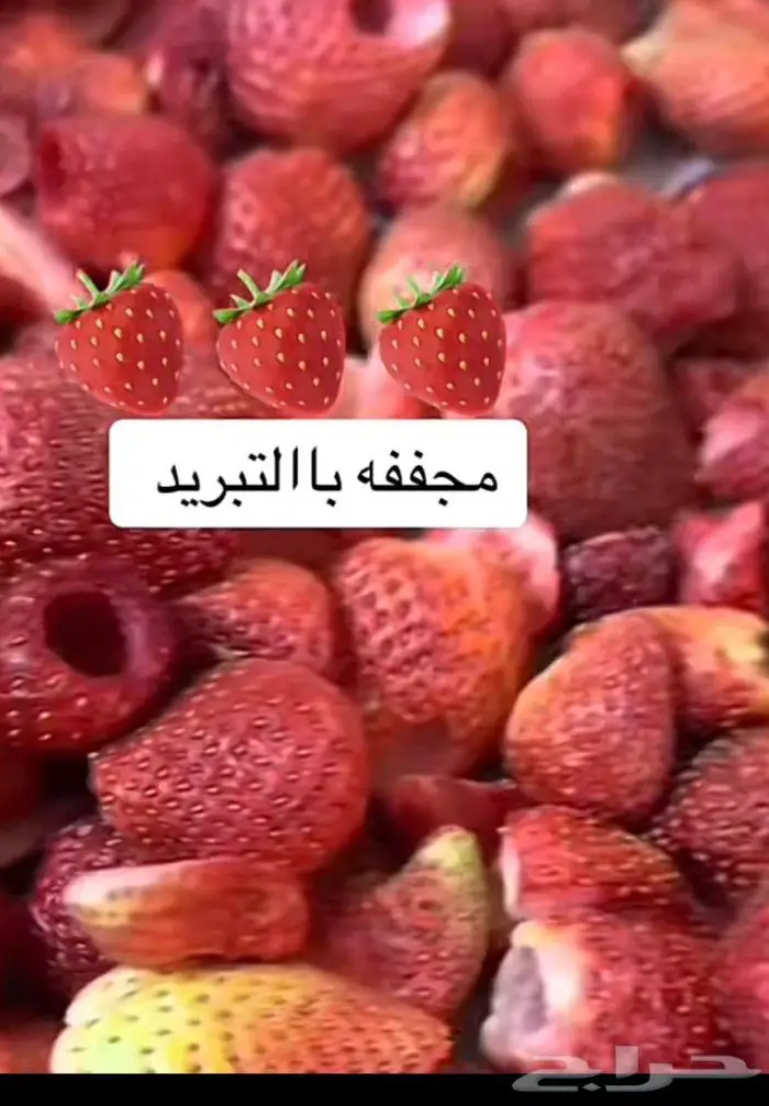 جملة فواكة وحلويات مجففه باالتبريد 6