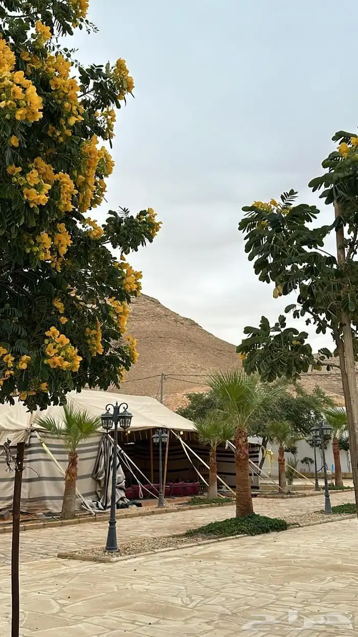 استراحة قسم او قسمين للإيجار 0