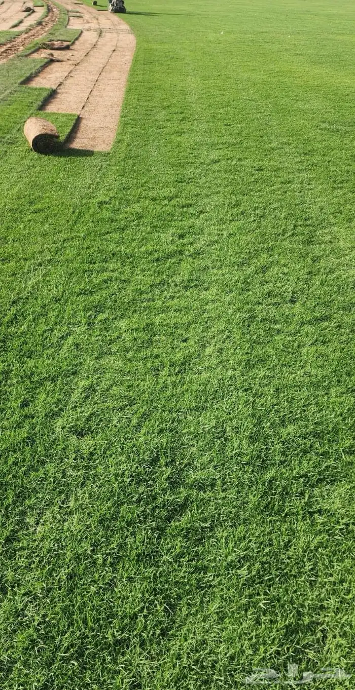 ثيل الخرج درجة 1 2