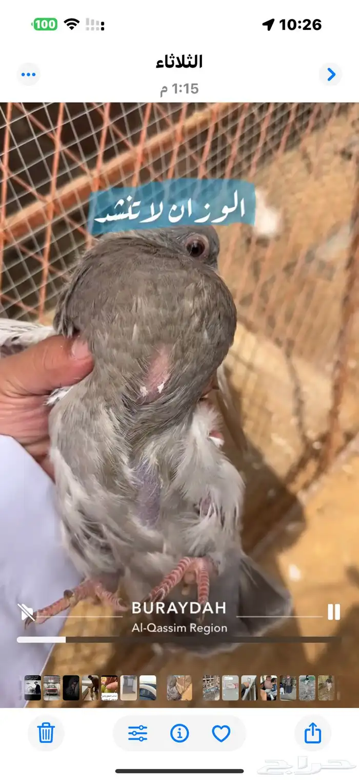 حمام سلفر فرنسي 13