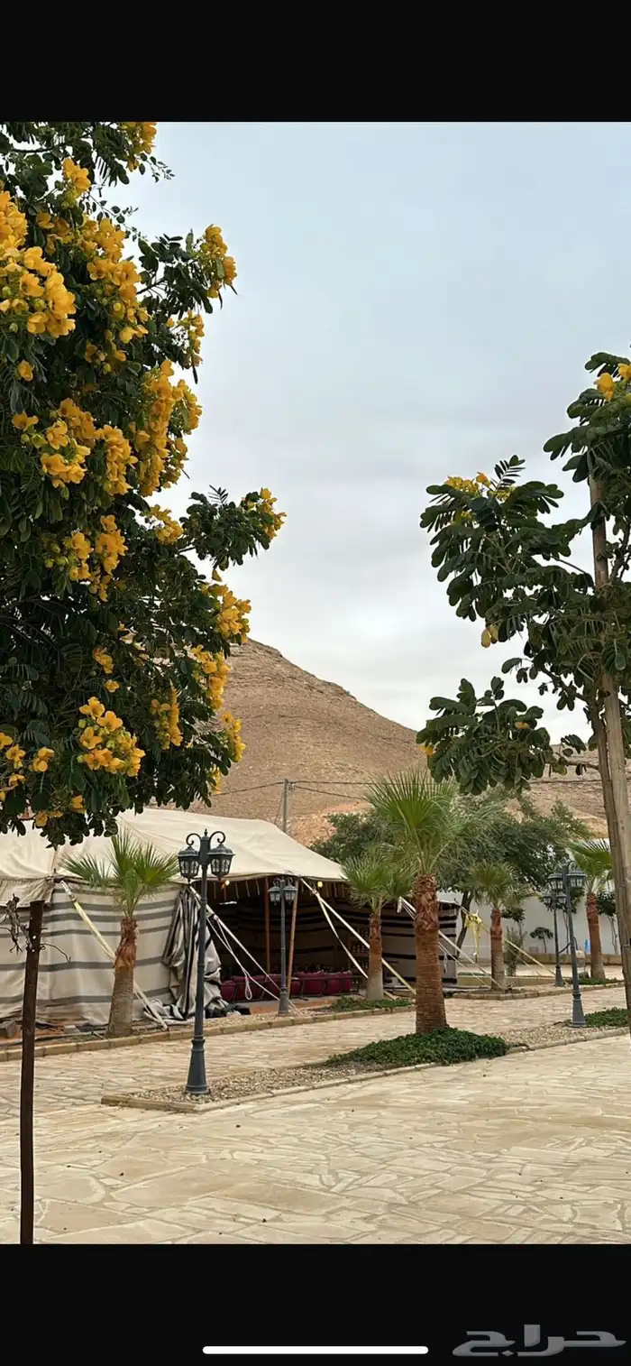 استراحة قسم او قسمين للإيجار 24