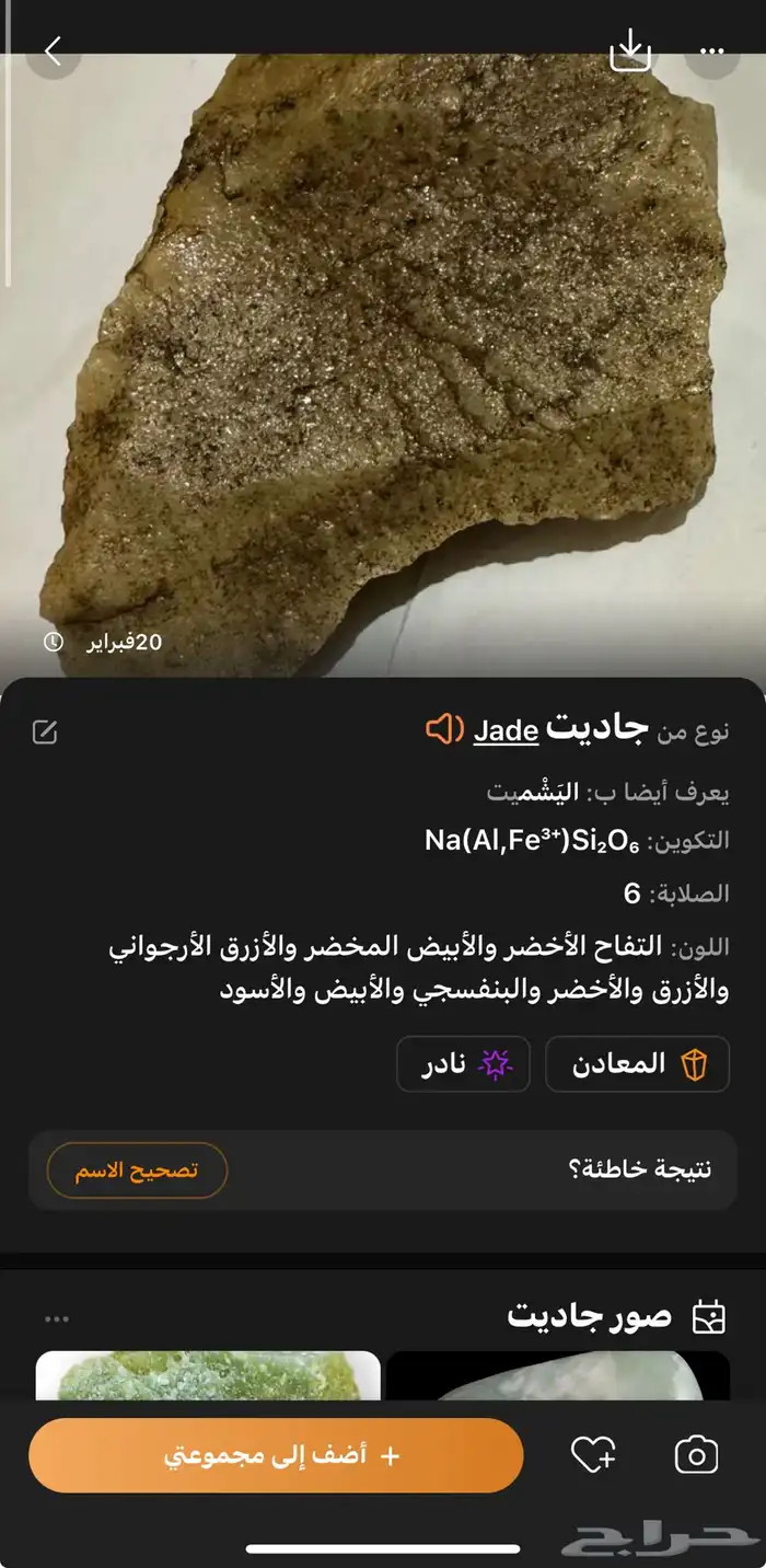 جحر جاديت من النوادر 1