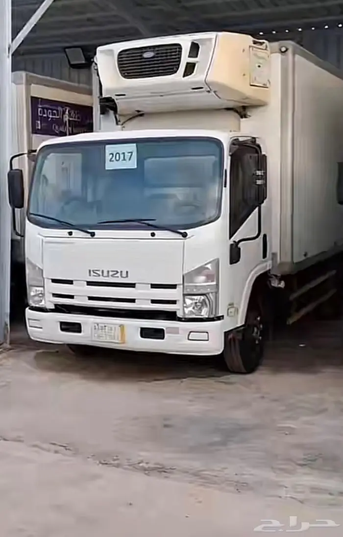 جميع أنواع الدينات 3