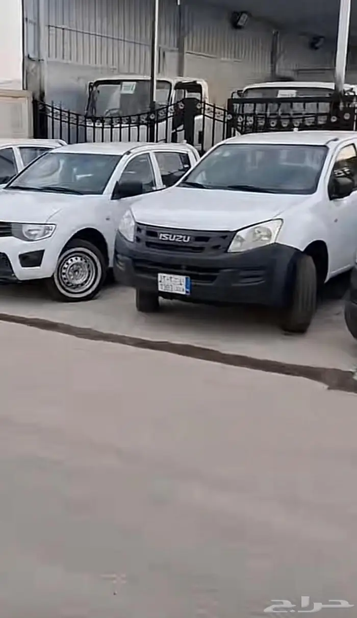 جميع أنواع الدينات 4