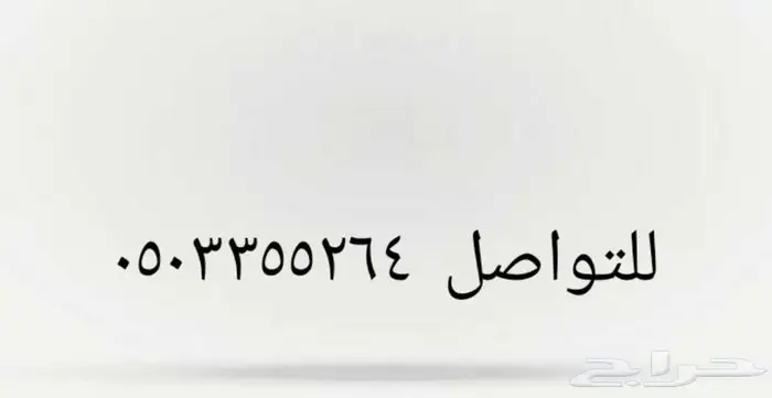 للبيع مجسم موستنج 4