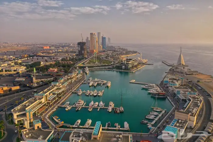 تصوير درون وفيديو وفوتو 3