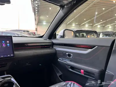 جيتور داشينج 2024 14