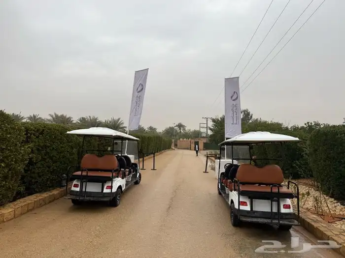جولف كار للايجار -Golf car for rent 4