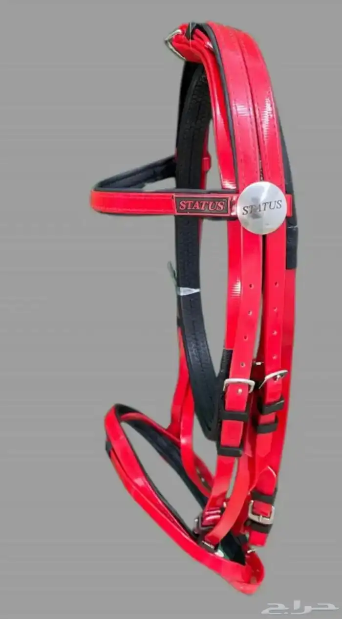 لجام استيتس الأصلي 2