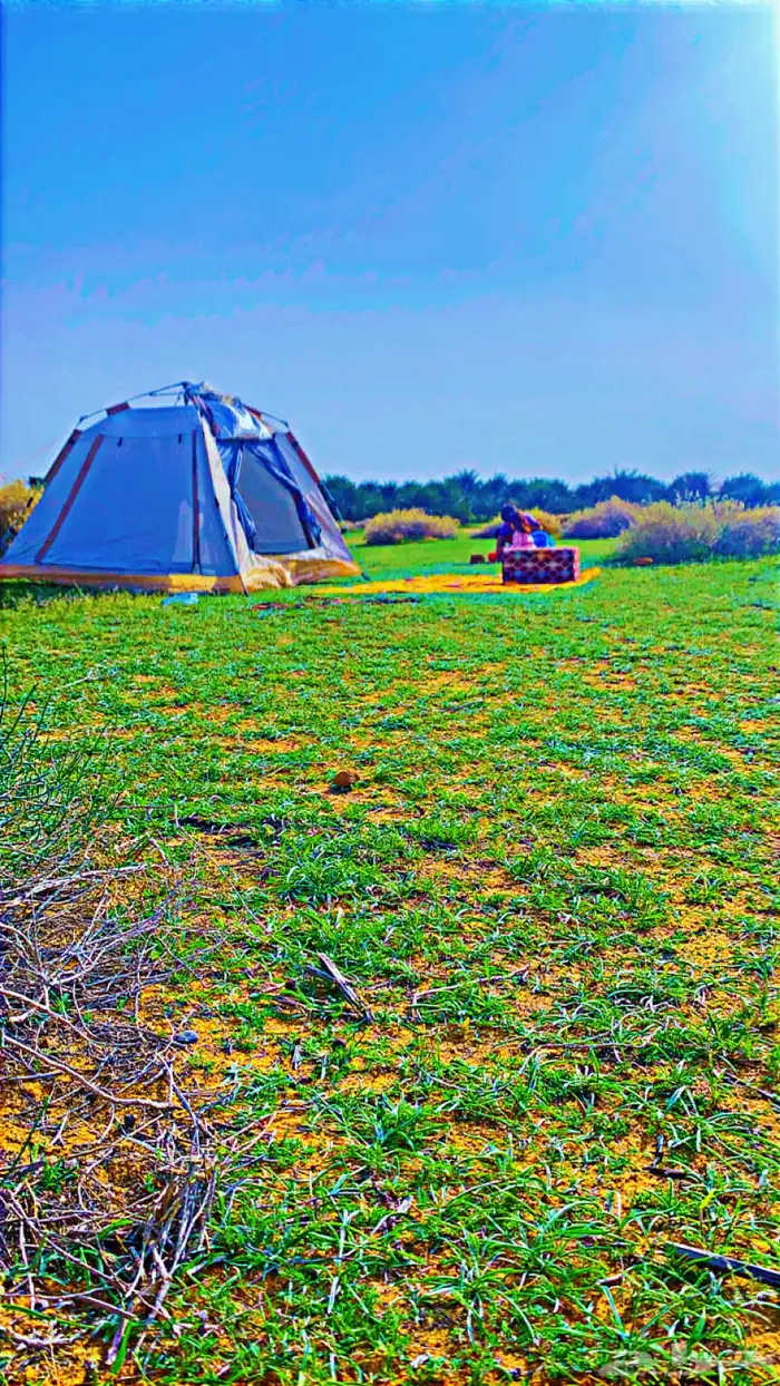 خيمه للبيع 2