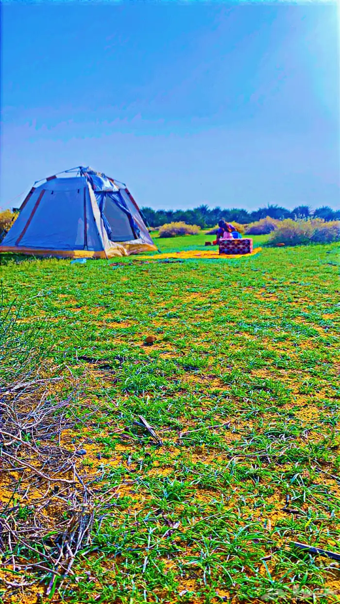 خيمه للبيع 1