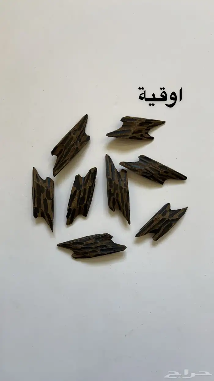 العود التايقر الاصلي بأقل سعر 1
