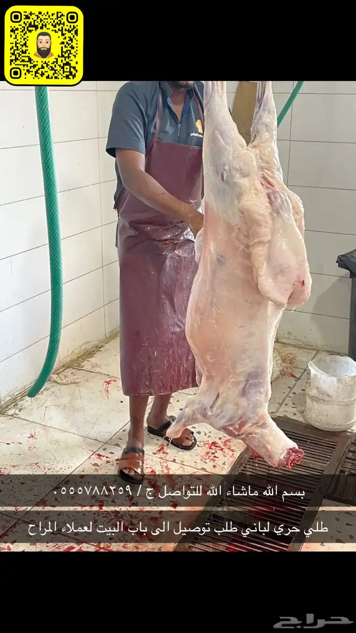 طليان حريات جبره للثلاجة والمناسبات 2