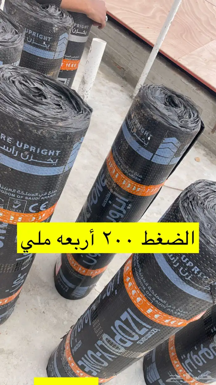 البكيريه 0