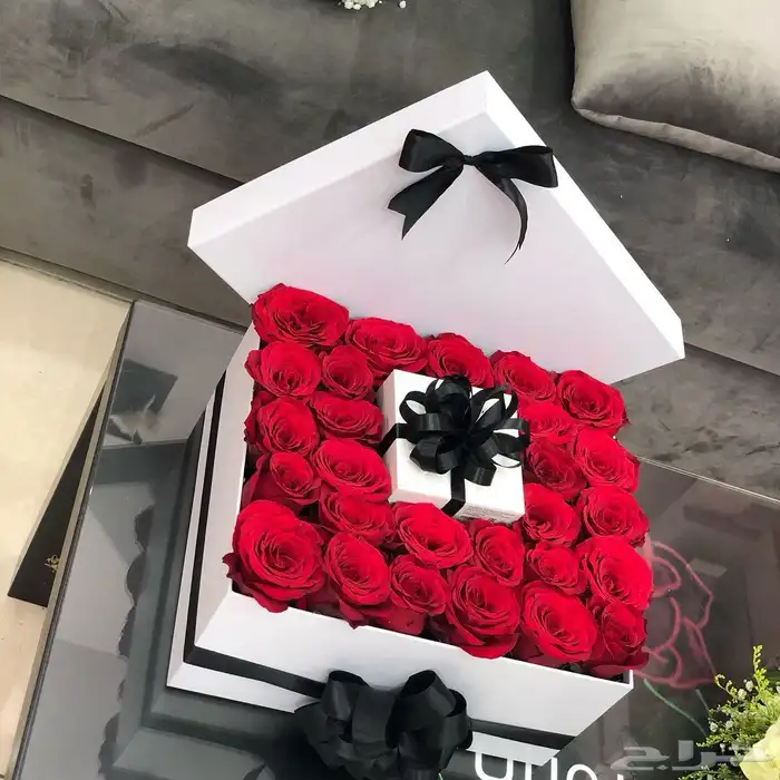 مندوب توصيل طلبات ومشاوير شهرية 10