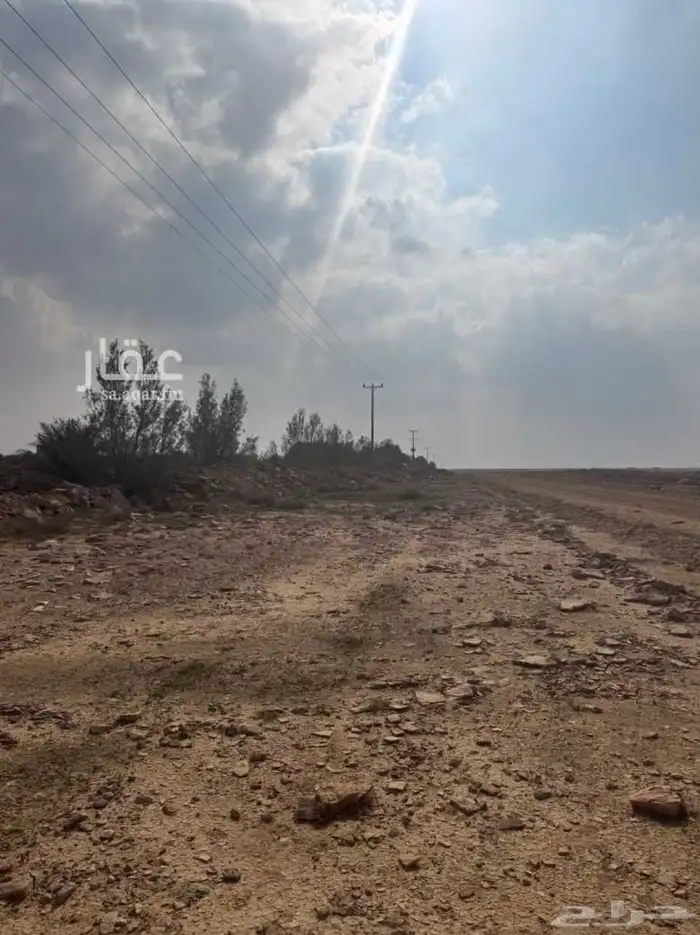 أرض زراعية للايجار أو للبيع بمدينة الجعلة الاسياح القصيم 1