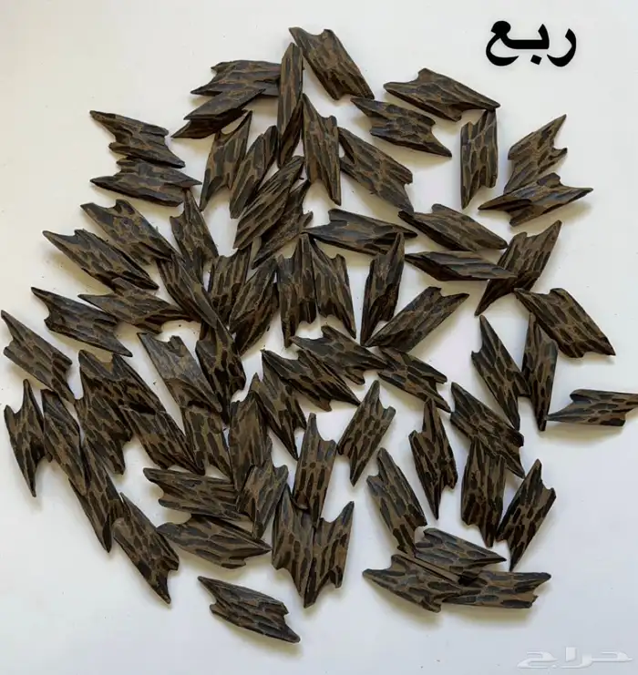العود التايقر الاصلي بأقل سعر 3