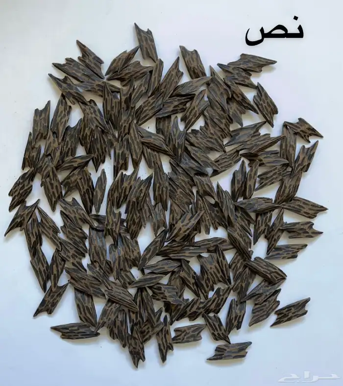 العود التايقر الاصلي بأقل سعر 4