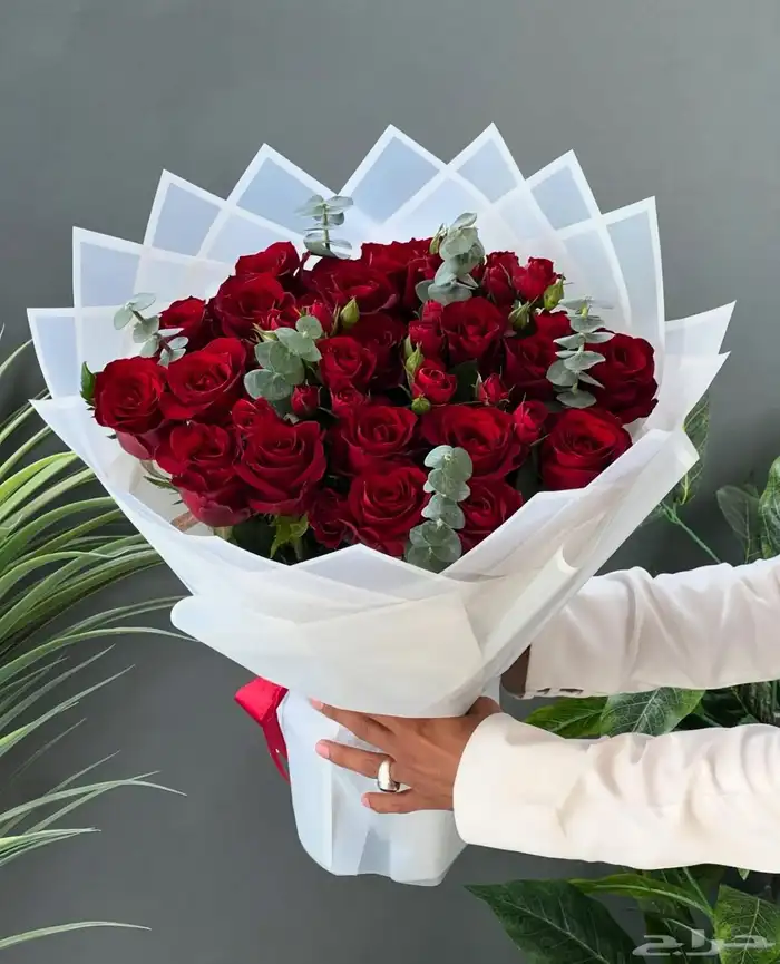 مندوب هدايا جدة تنسيق باقات ورد وهدايا وتوصيلها داخل جدة 10