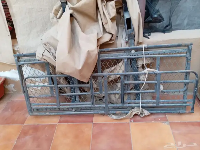 شبك قنص 0