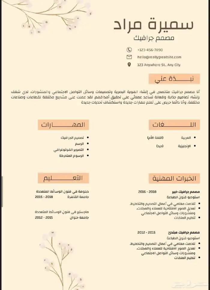 تصميم سيرة ذاتية CV 10