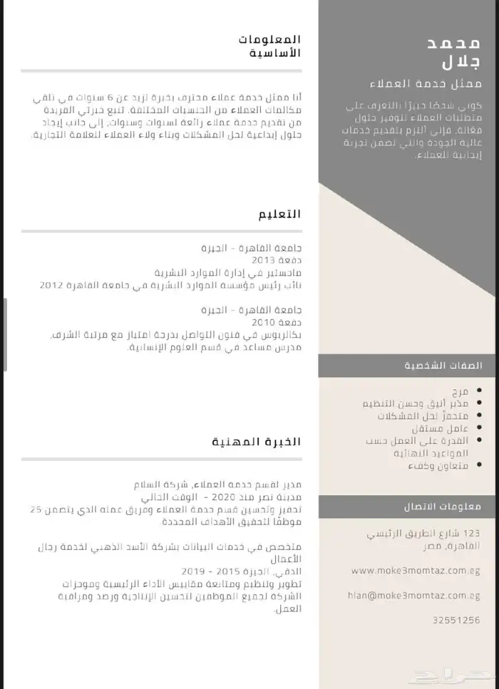 تصميم سيرة ذاتية CV 9